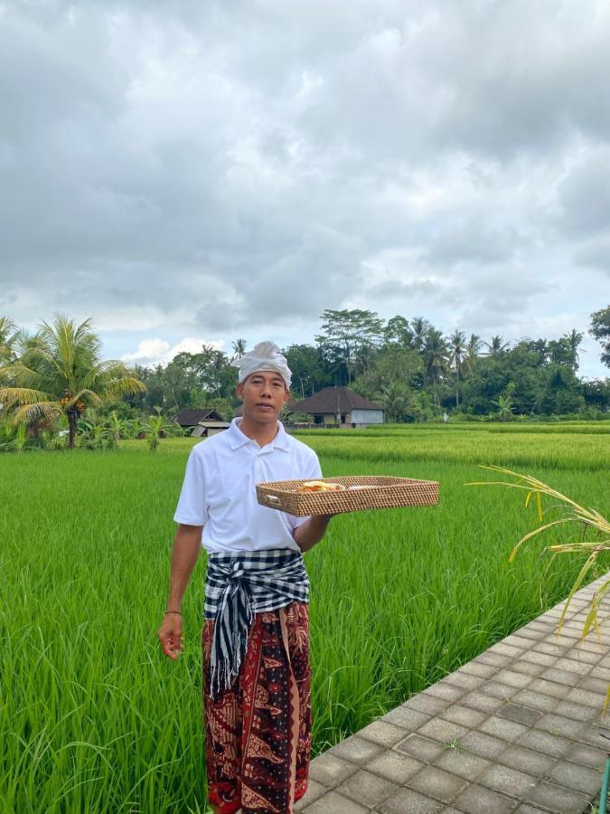 Ab Ubud Luxury Villa 외부 사진